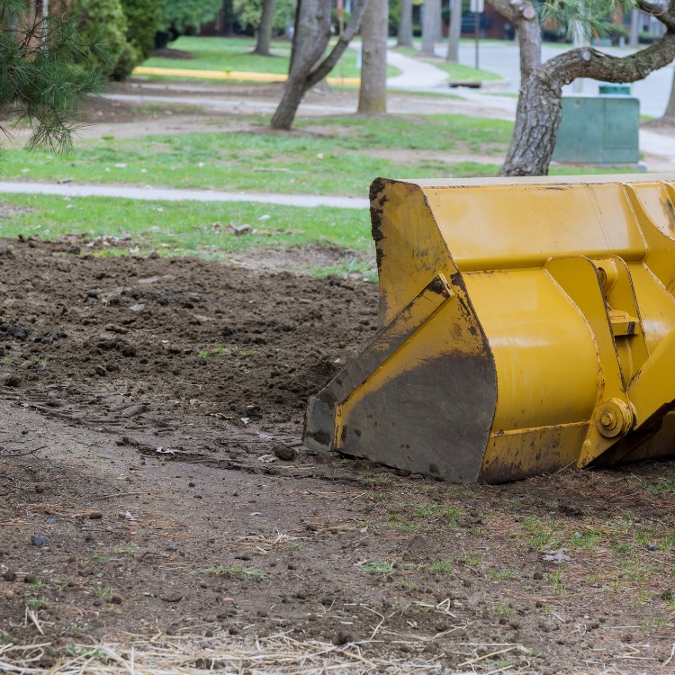 Tree services in Chambersburg, PA